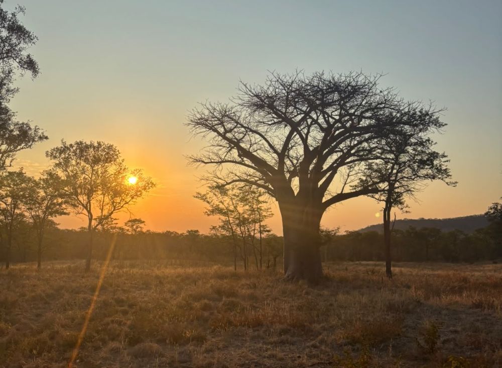 How Africa Changes the Way You Think About Hunting