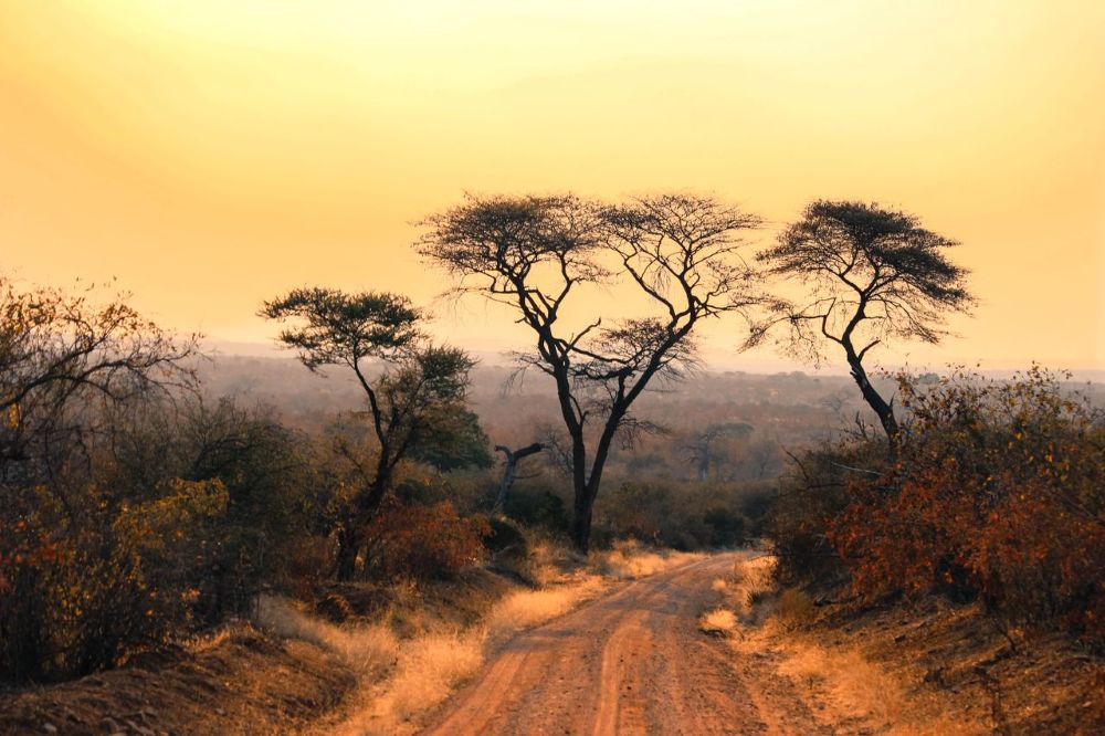 Why Hunters Cross the Atlantic and Keep Coming Back to Africa