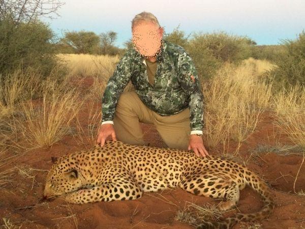 Mountain Leopards vs Farmland Leopards in Namibia