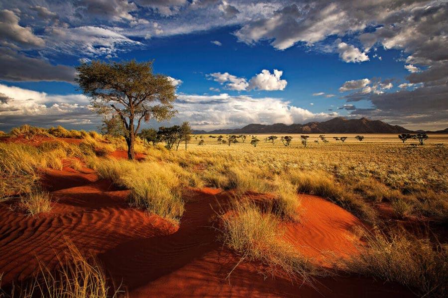 Big Game Hunting in Namibia