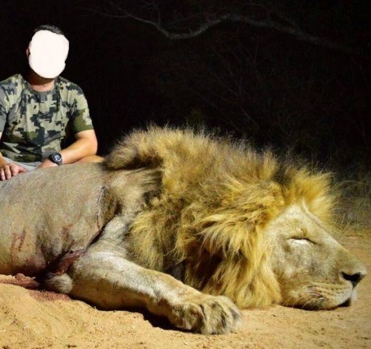 Lion hunting