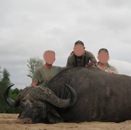 buffalo trophy