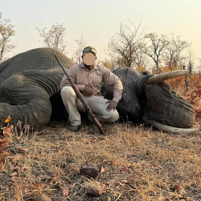elephant trophy