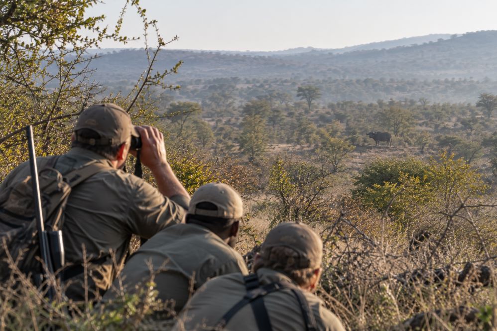 What Hunting Africa Teaches You About Pace, Distance and Decisions