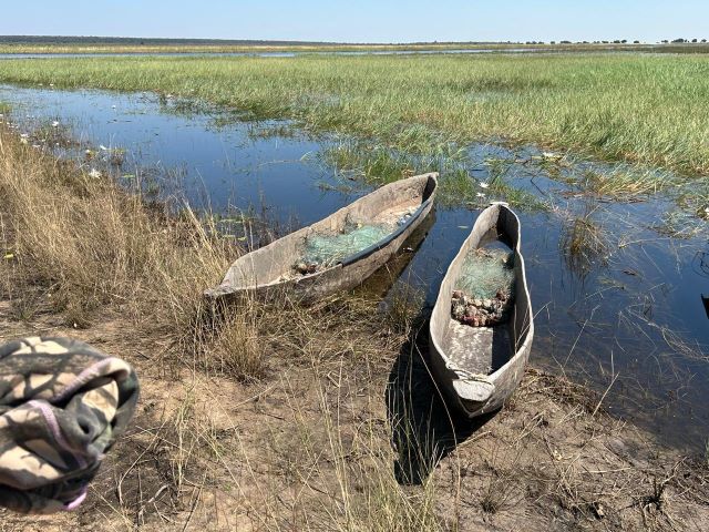 Traditional mokoro canoes beside a wetland channel in Namibia's Zambezi Region