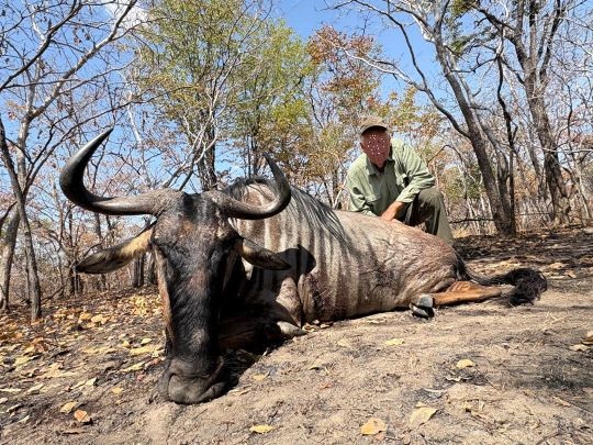 Hunter posing with wildebeest trophy