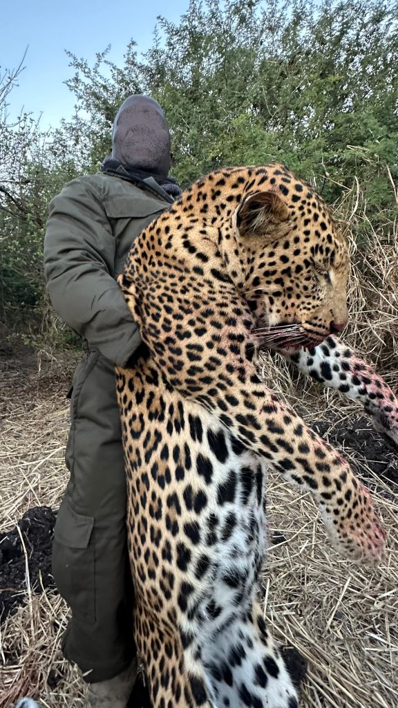 Hunter with Leopard trophy