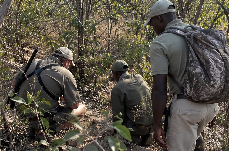 Trackers looking for blood.jpg
