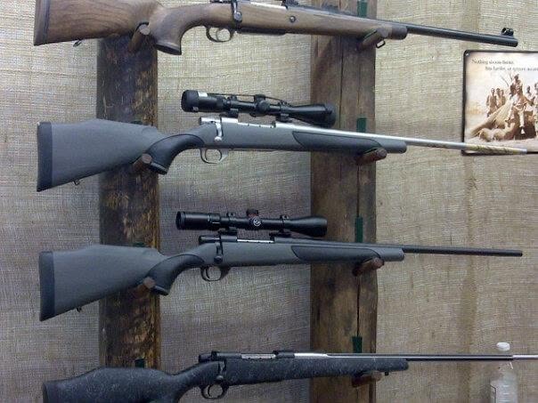 Does Rifle Choice in Mozambique Depend on Where You Hunt? 