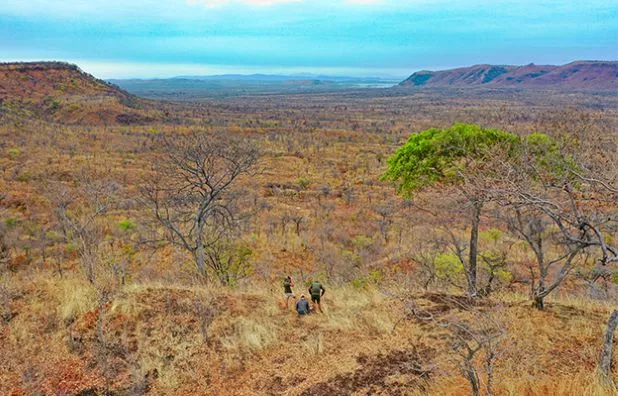 Dalton Zimbabwe