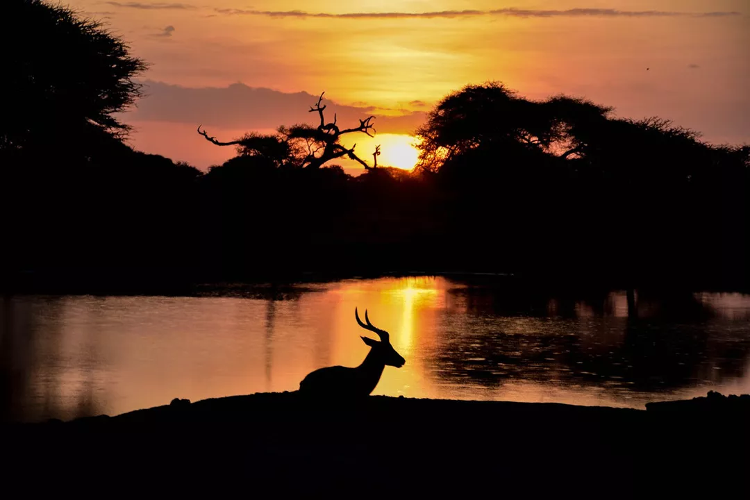 Don, South African Outfitter - Waterberg