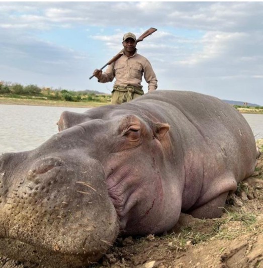 Reward, Zimbabwean Outfitter