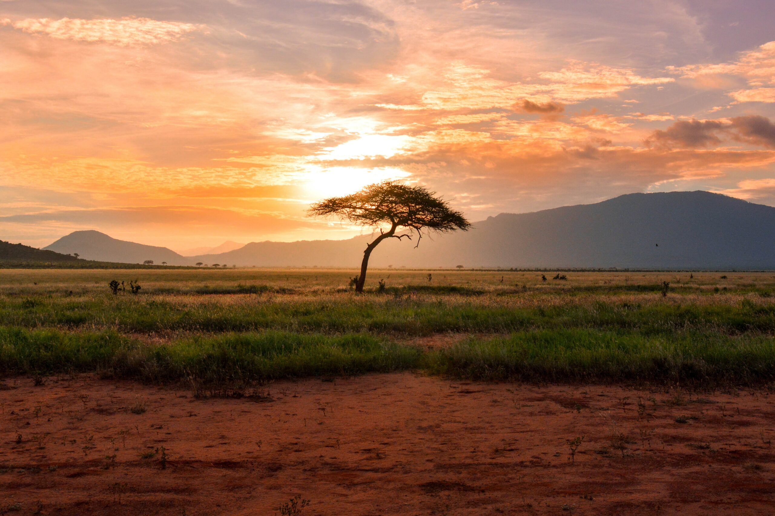 Hunting Destinations in Africa