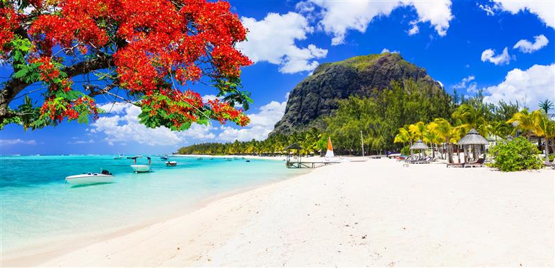 Hunting in Mauritius