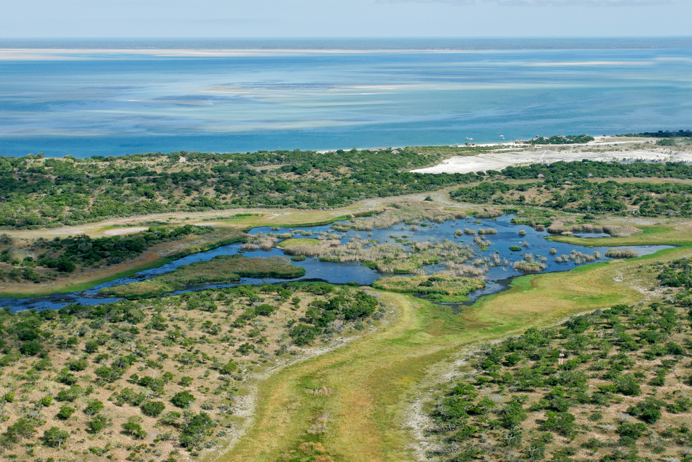 Hunting Crocodile in Mozambique