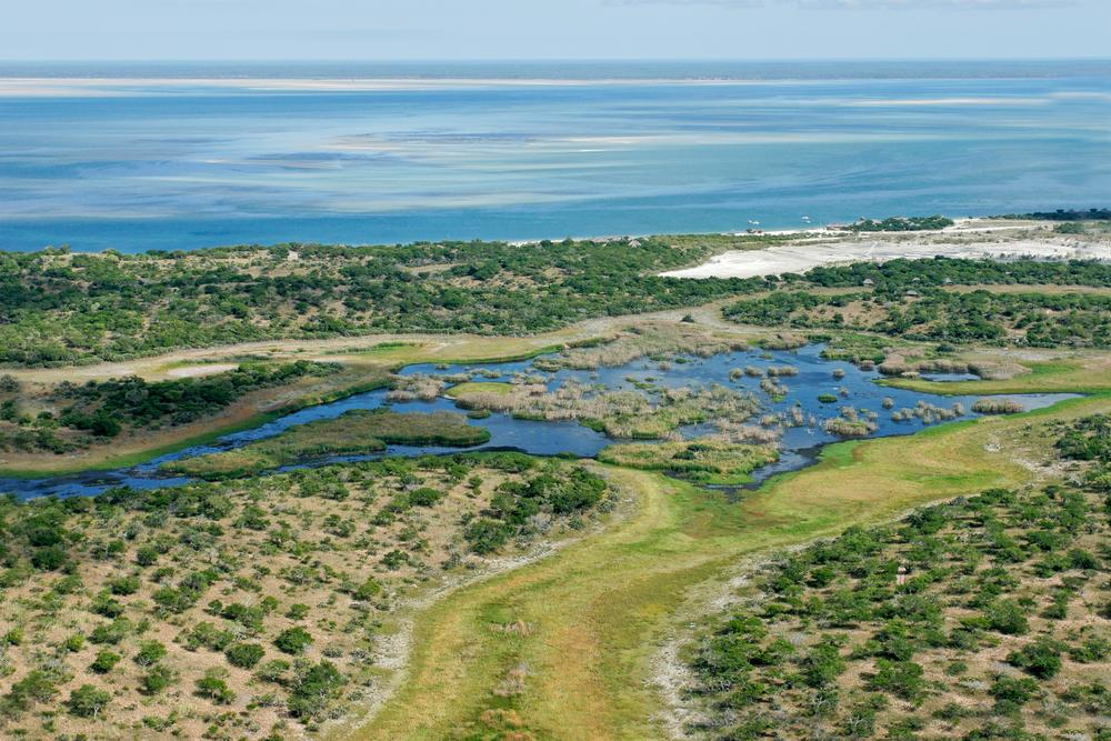 Hunting Sable in Mozambique