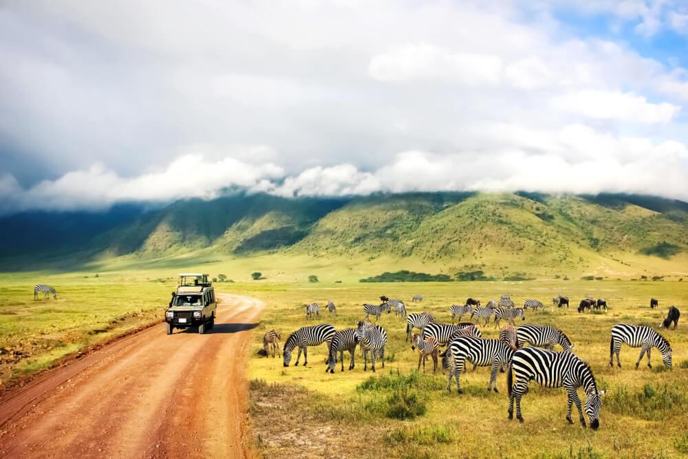 African Safari Hunts
