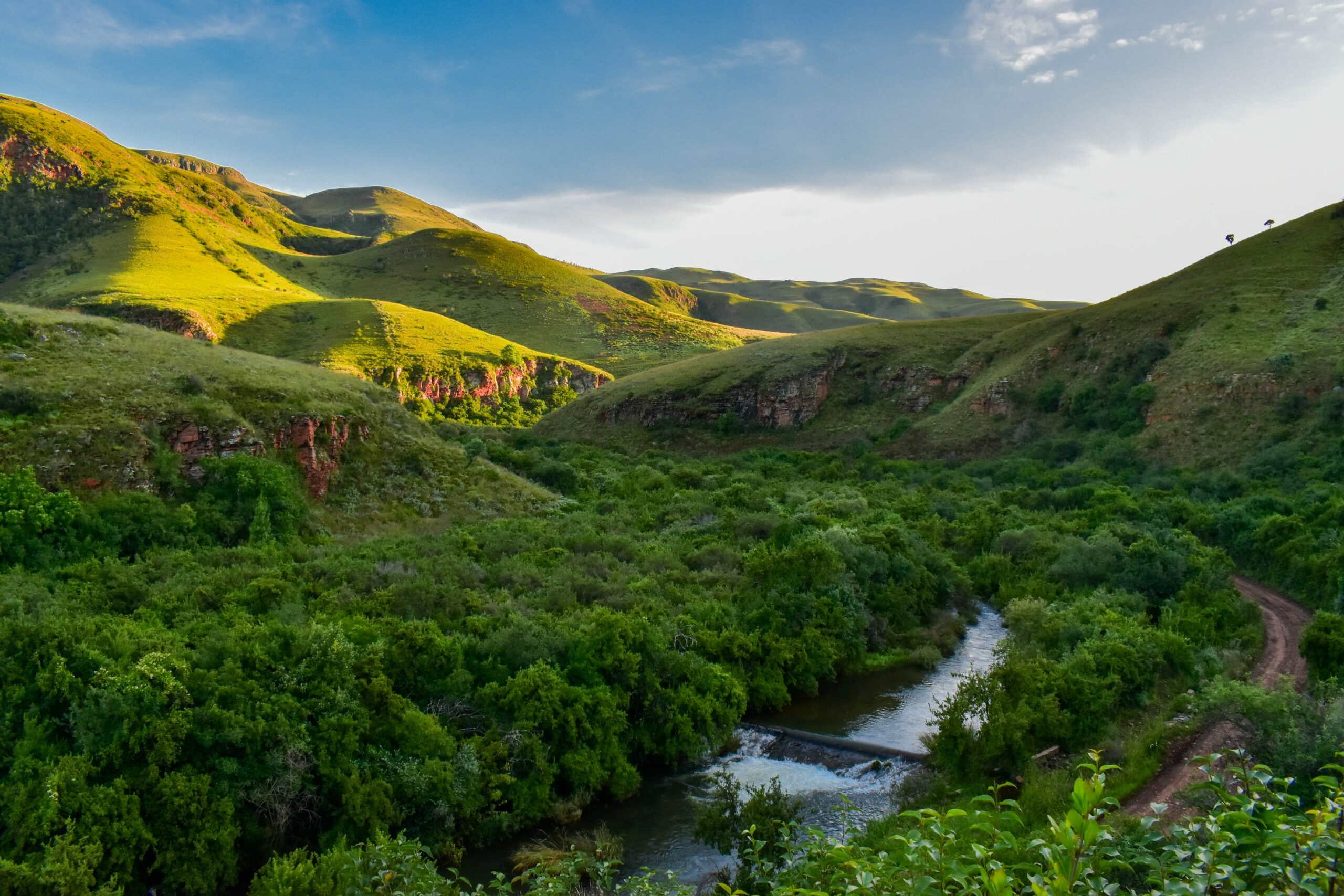 Conservation Hunting In Africa