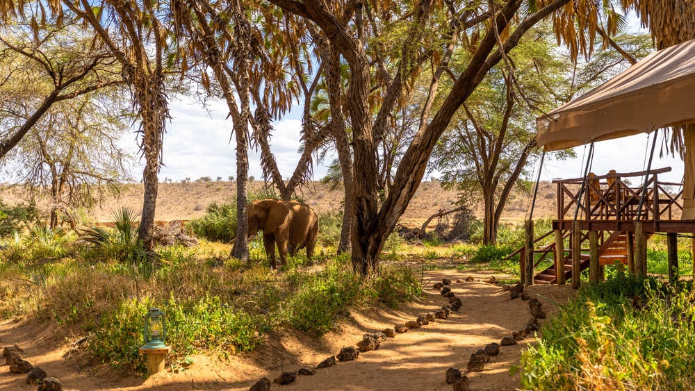 Hunting Lodges In Africa