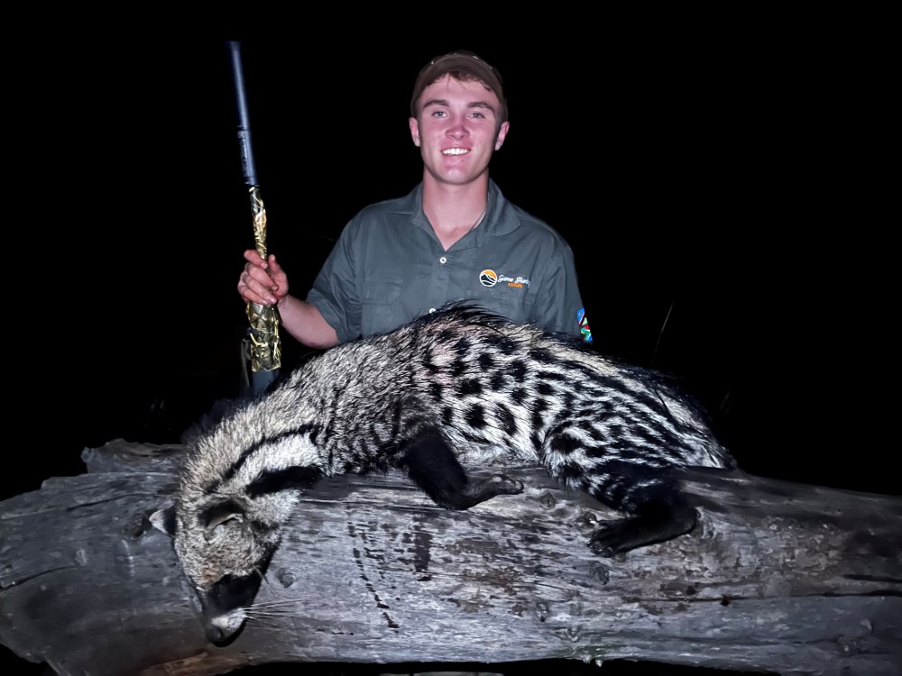 Our Night-Time Hunting Adventure In The Waterberg, Limpopo