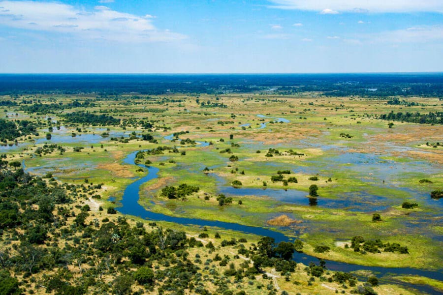 Safari Spoils & Splendor: Hunting in Botswana’s Okavango Delta
