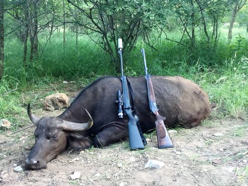 Modern Safari Hunters: Balancing Tradition With Conservation