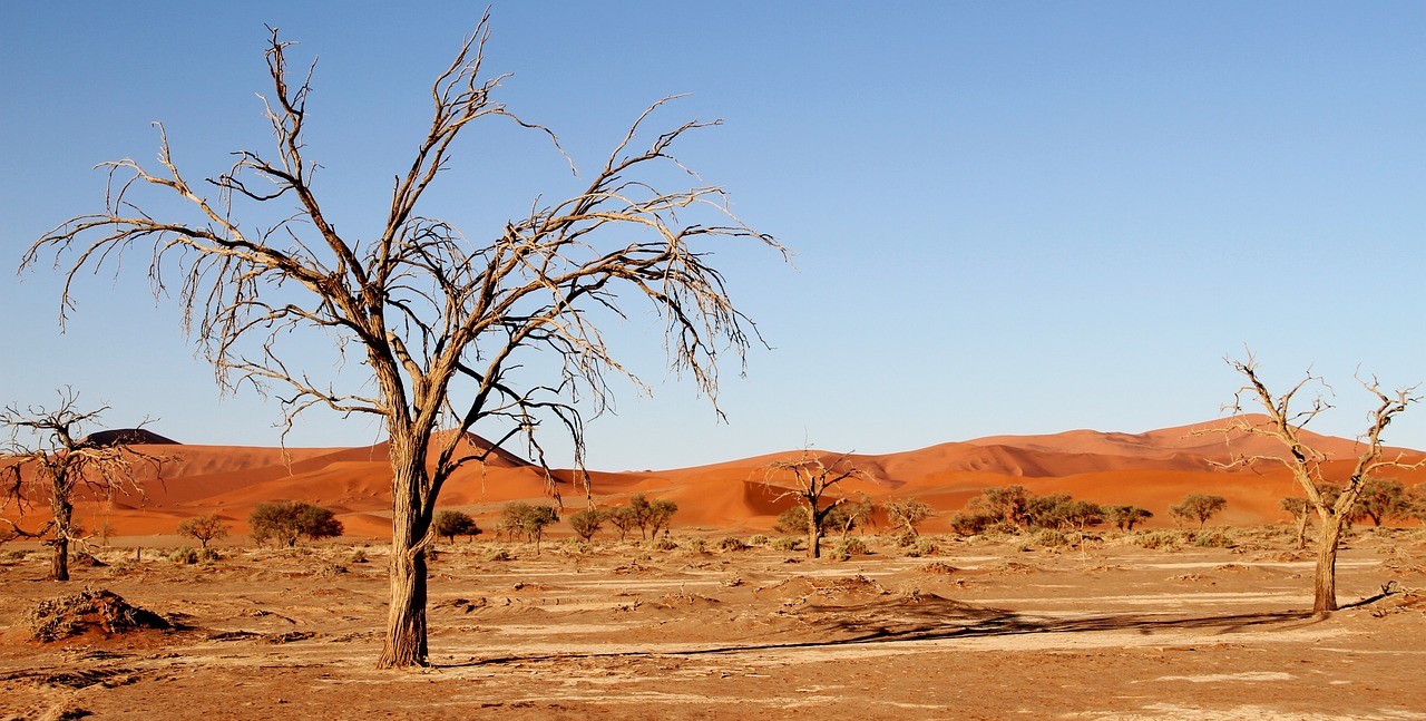 Budgeting For Your Kalahari Hunting Expedition: What You Need To Know