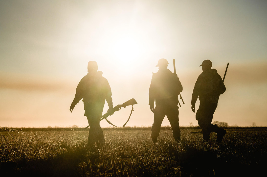 Booking My Hunting Safari In Africa