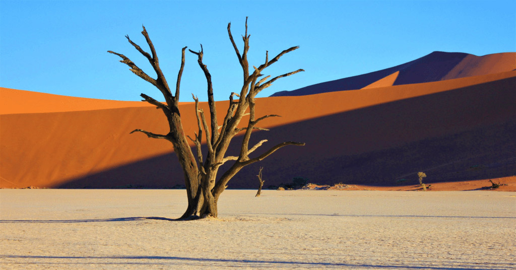 The Impact Of European Hunting Imports On Hunting Safaris In Namibia