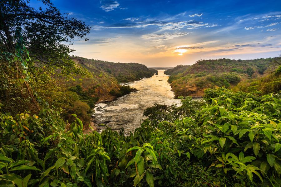 Hunting In Uganda: Hunting Seasons, Methods, Traditional Fare & More
