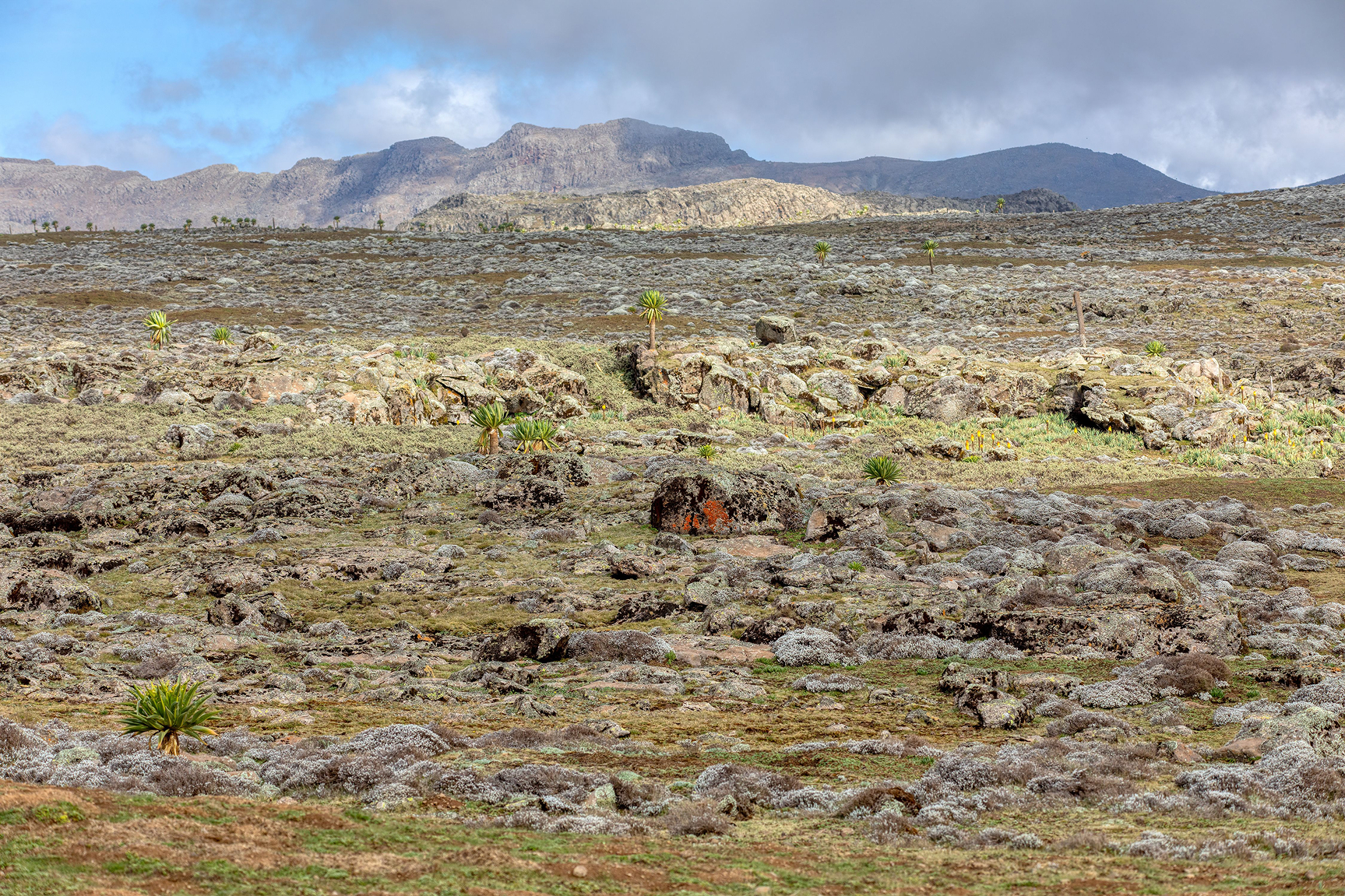 Hunting in Ethiopia