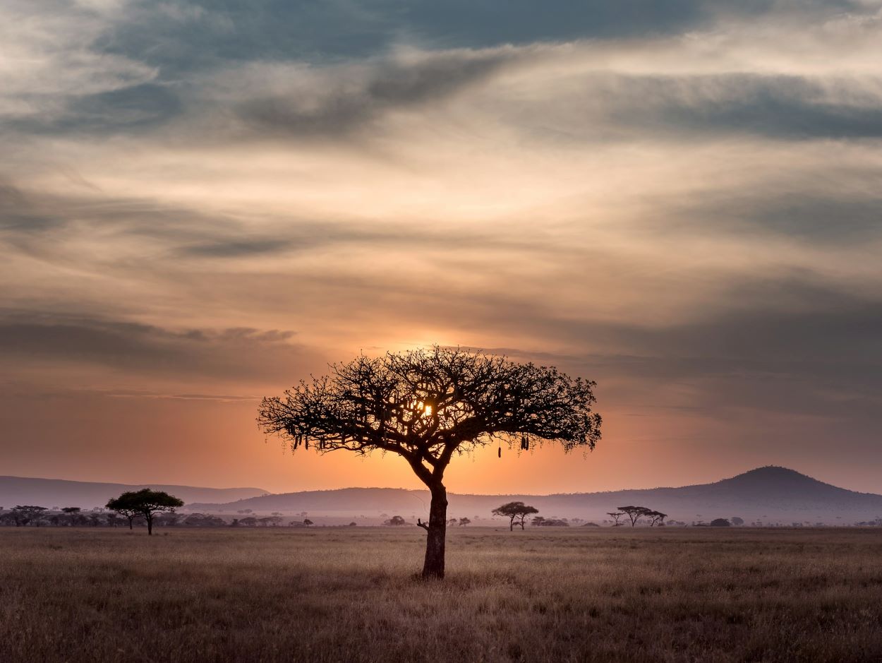 The Top Ten Destinations for Hunting Trips in Africa
