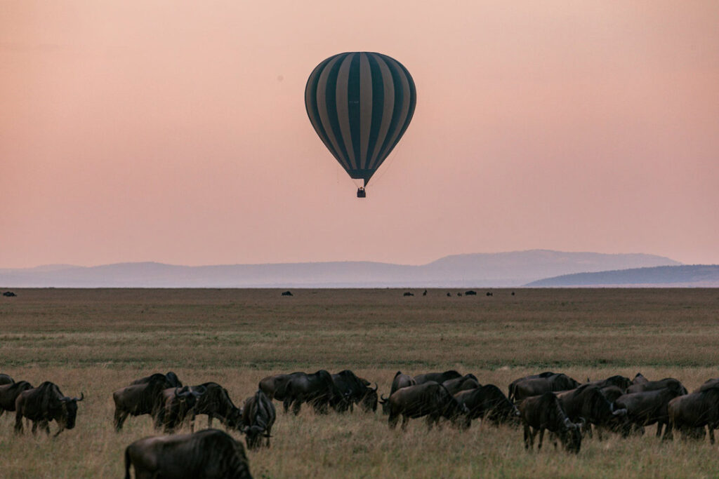 Why Are Africa Hunts Growing In popularity?