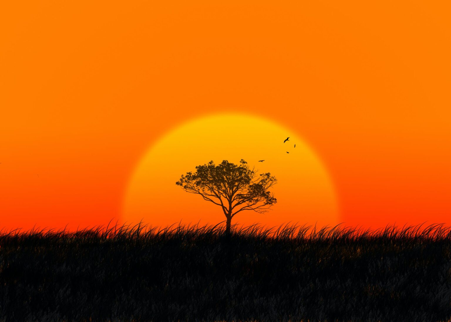 Hunting in Africa