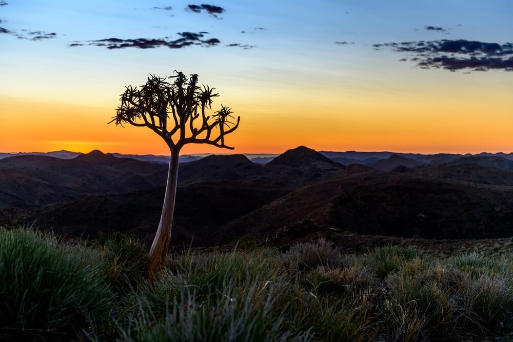 Hunting Safaris In Botswana: Trophies, Wonders, And Natural Beauty