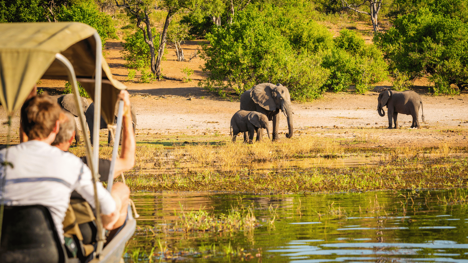 Hunting Safaris in Africa: The Complete U.S. Hunter’s 2025 Guide