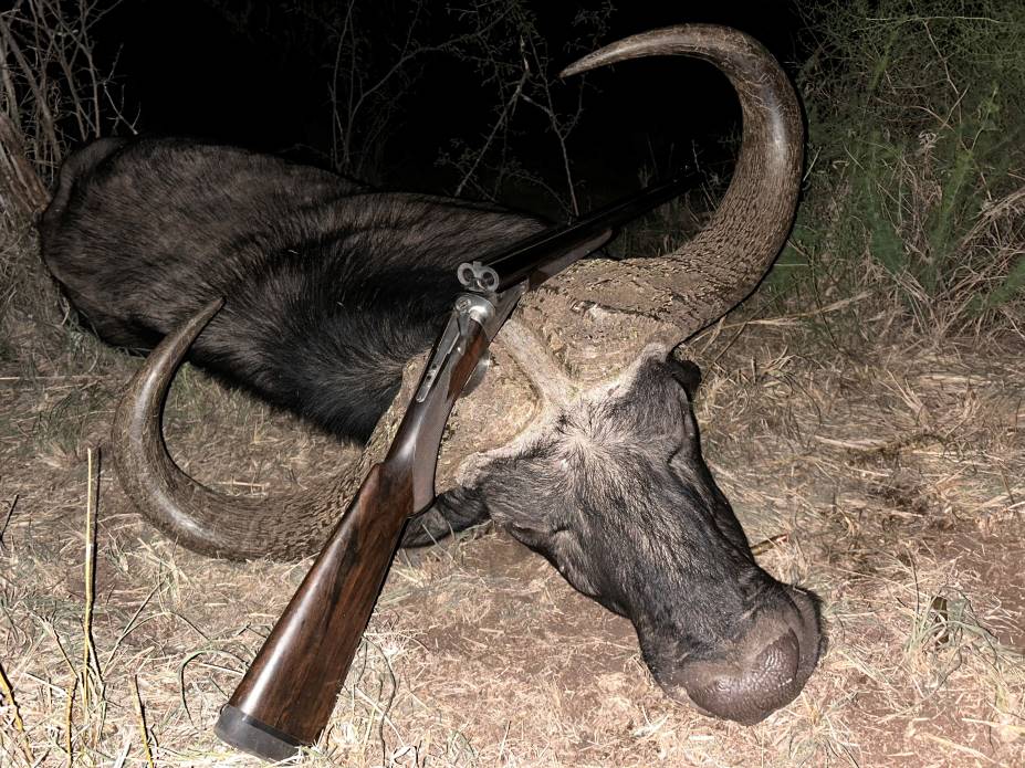 Buffalo hunting package