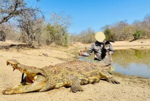 CROCODILE Hunting