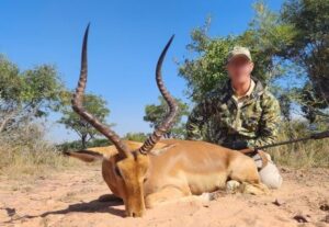 Impala Hunting