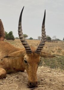 Puku Hunting