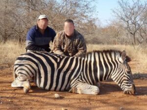 Zebra Hunting