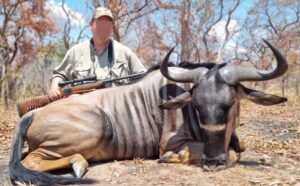 Niassa wildebeest