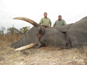 Elephant Hunting