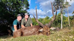 Rusa deer hunting in Mauritius