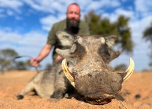 Warthog Hunting 