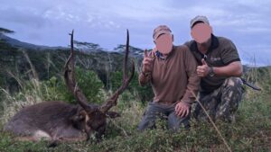 Rusa deer