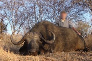 Buffalo Hunt